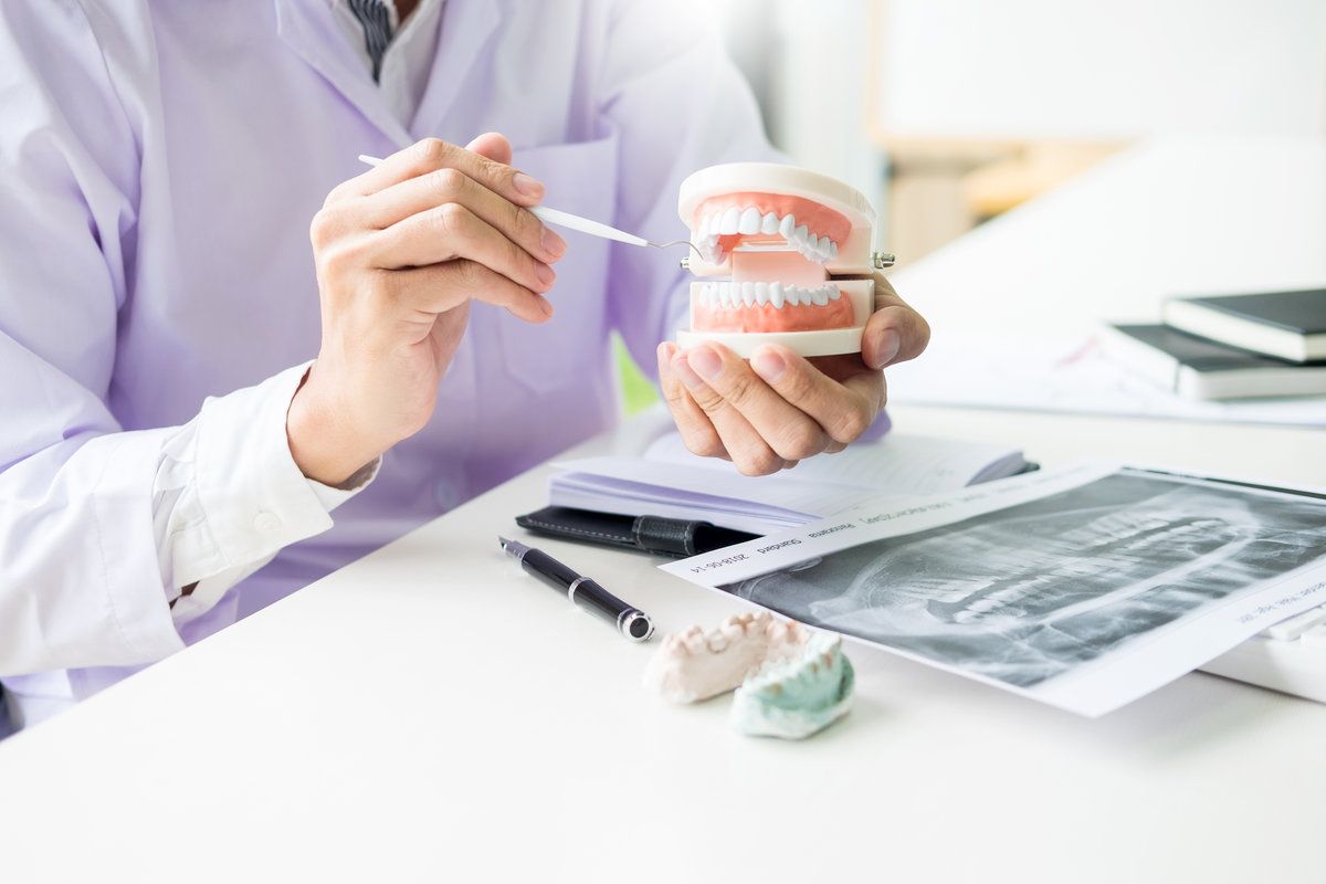 Concentrated dentist sitting at table with jaw samples tooth model in dental office professional dental clinic